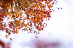 2021autumn05