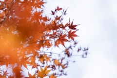 2021autumn06