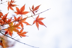 2021autumn07