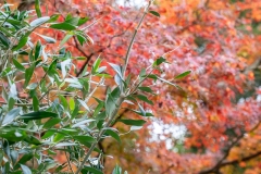 2021autumn14